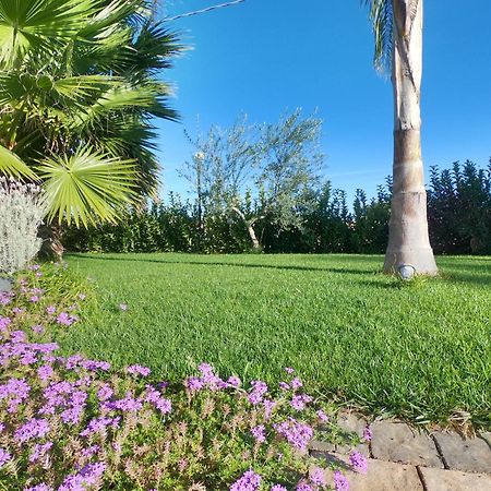 Malia Holiday Villa Conversano Exterior photo